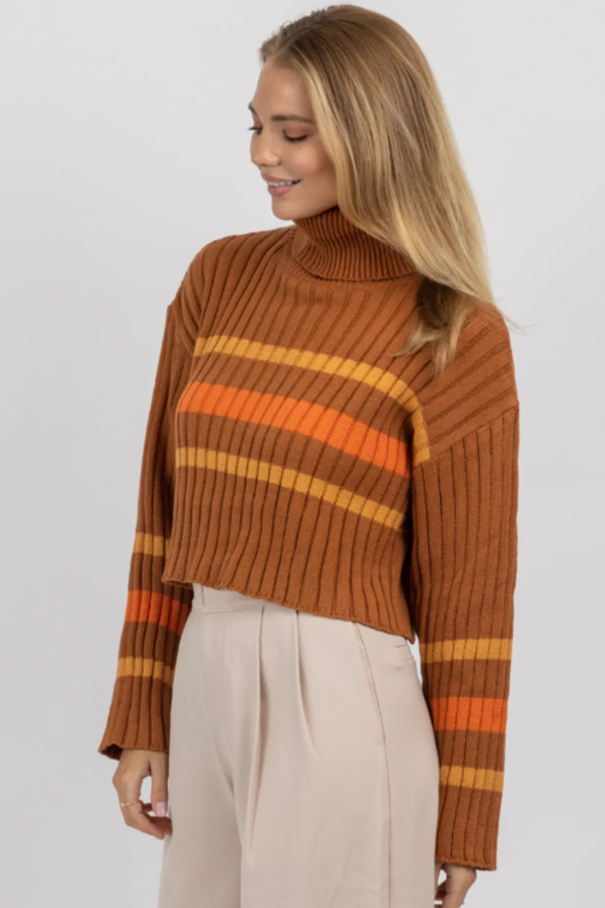 CINNAMON STRIPE TURTLENECK SWEATER