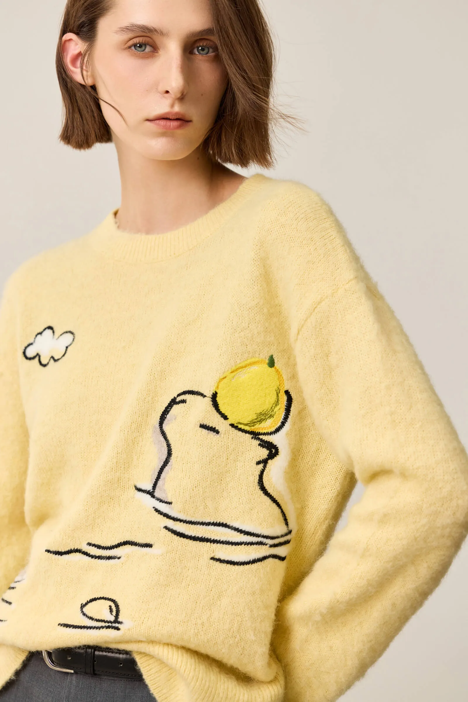 LILY Fun Capybara Series Sweater